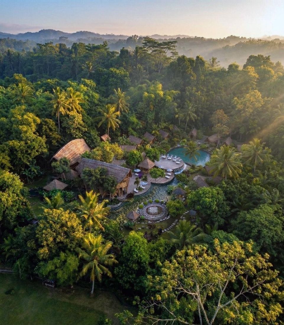 Bamboo Retreat giữa rừng nhiệt đới